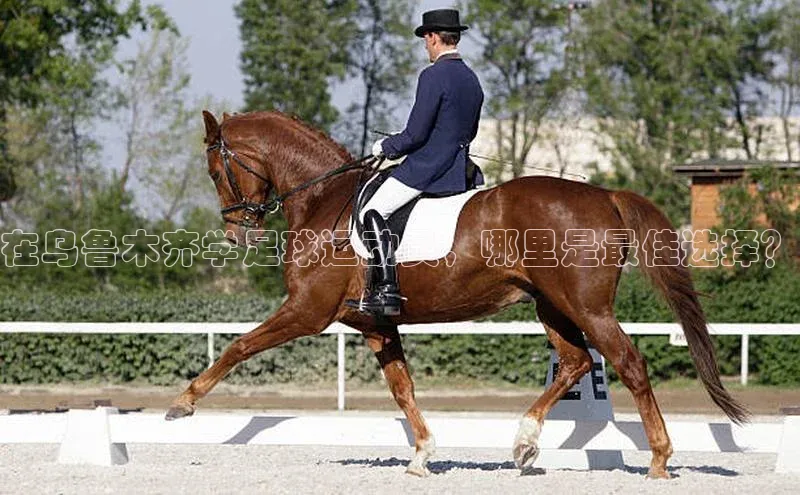 伟德BETVlCTOR1946官方网站百度数据开放平台在乌鲁木齐学足球运动员，哪里是最佳选择？