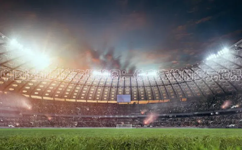 伟德betvlctor体育官网荣信文化中国运动员赛事概览图：体育竞技的多元世界