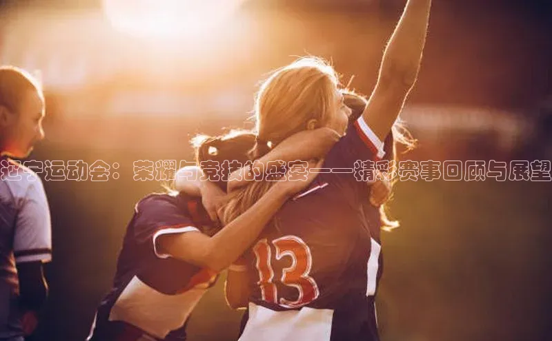 伟德网页版下载百度健康辽宁运动会：荣耀与竞技的盛宴——精彩赛事回顾与展望