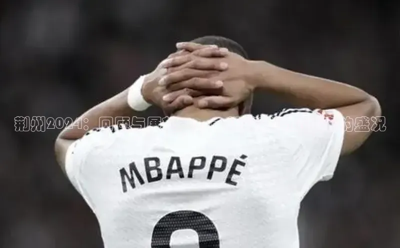 荆州2024：回顾与展望——一场精彩运动赛事的盛况