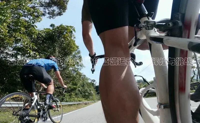 亚洲盛事：探讨2023女排亚洲运动会的辉煌与挑战