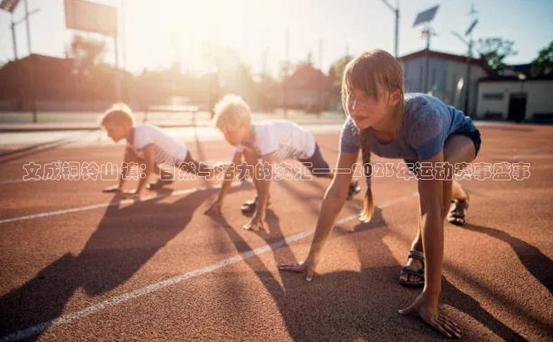 文成铜铃山镇：自然与活力的交汇——2023年运动赛事盛事