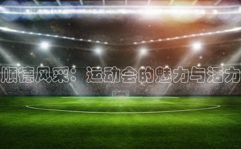 顺德风采：运动会的魅力与活力