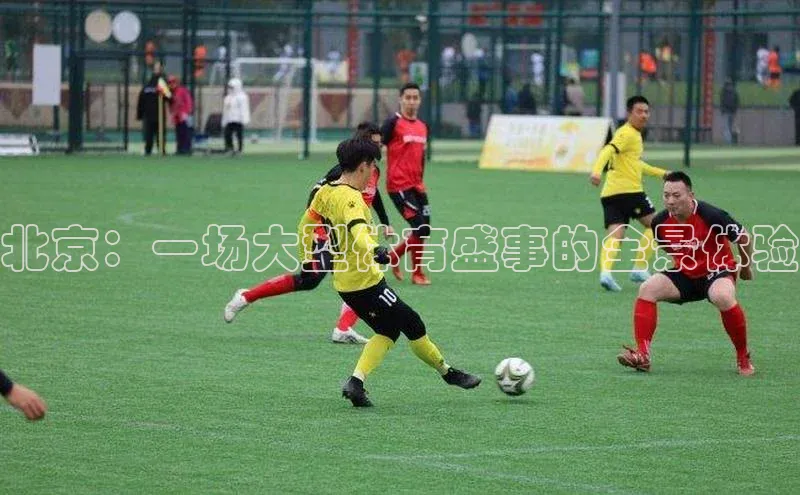 北京：一场大型体育盛事的全景体验