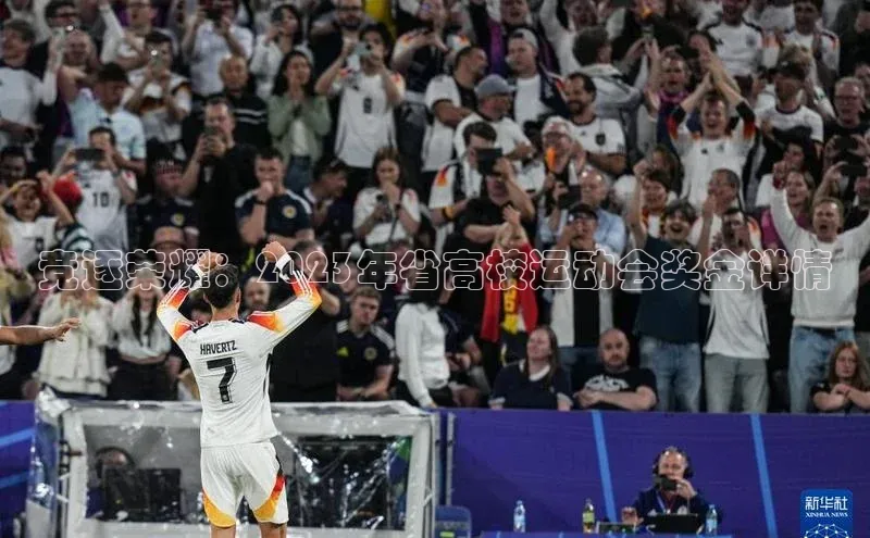 竞逐荣耀：2023年省高校运动会奖金详情