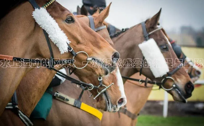 水上运动的风采：一场视觉盛宴的捕捉与呈现