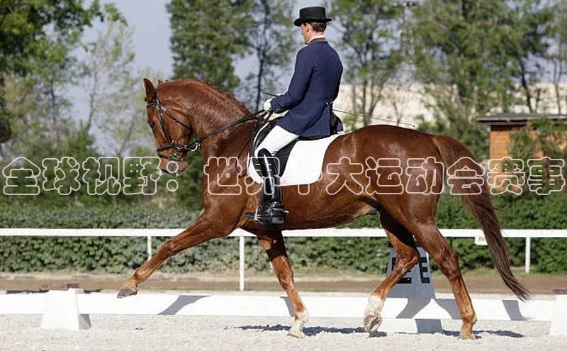 全球视野：世界十大运动会赛事