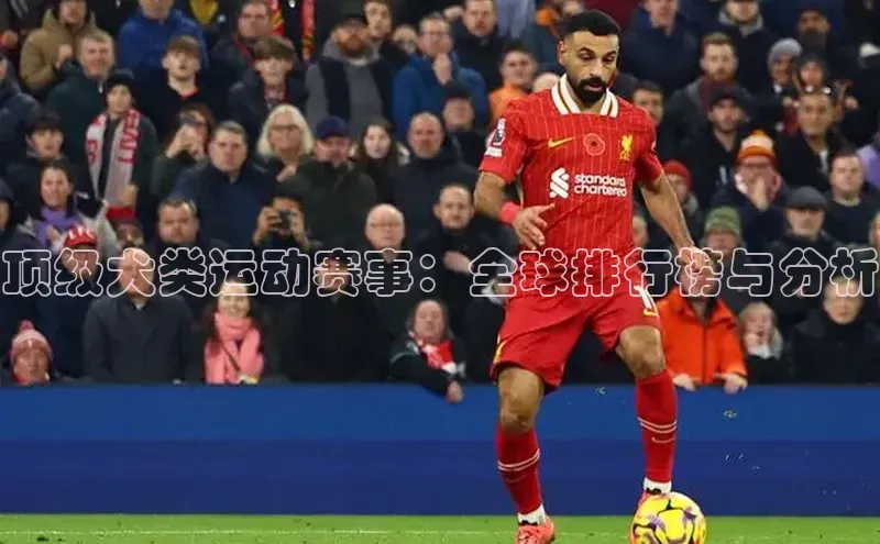 顶级犬类运动赛事：全球排行榜与分析