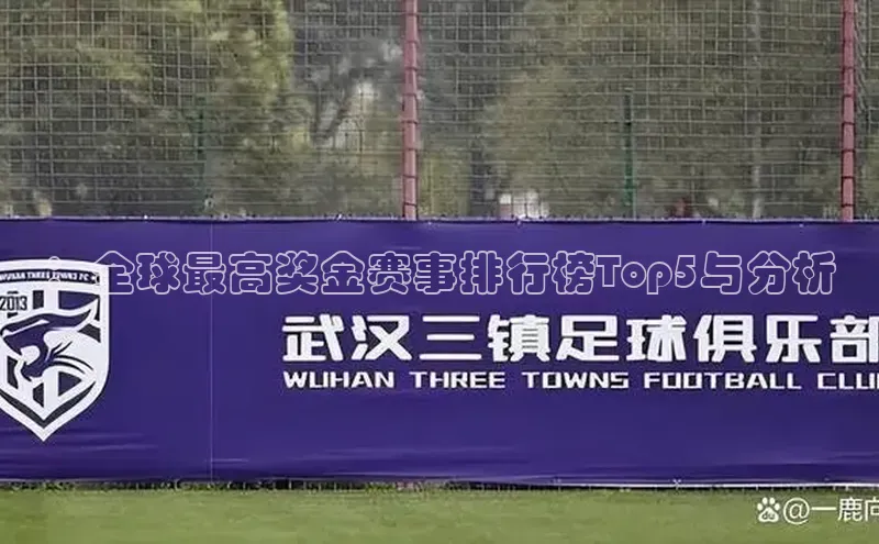 伟的国际1946bv官网