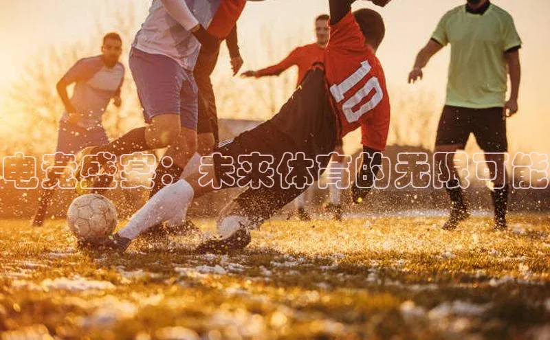 伟的国际1946bv官网